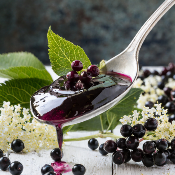 Elderberry Twilight GJelli - Image 3